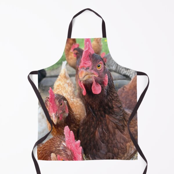 Item preview, Chickens designed and sold by Common Graces.