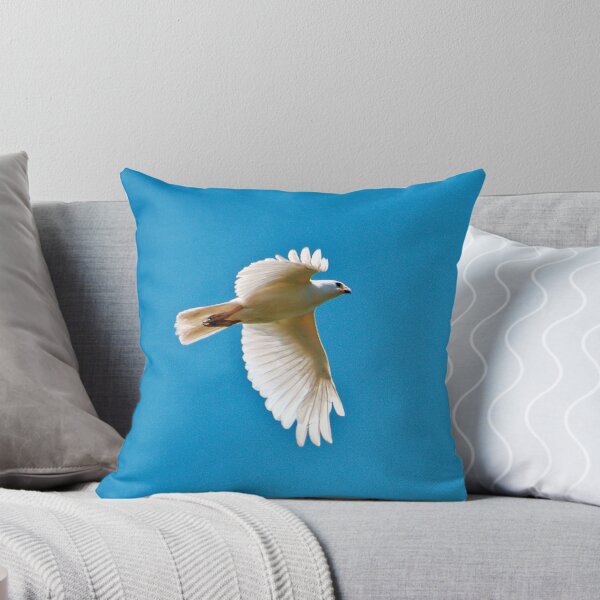 Item preview, RAPTOR ~  White Goshawk by David irwin DJIJ8ZZM56W designed and sold by tasmanianartist.