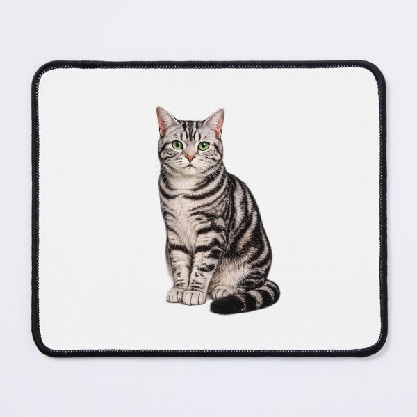 Item preview, American Shorthair Cat designed and sold by BackgroundND.