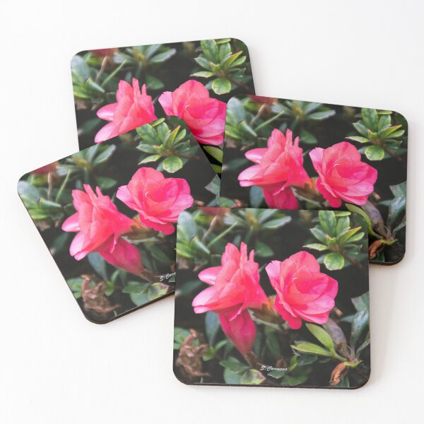 Item preview, Australian Flower - Azalea designed and sold by AuraInkSC.