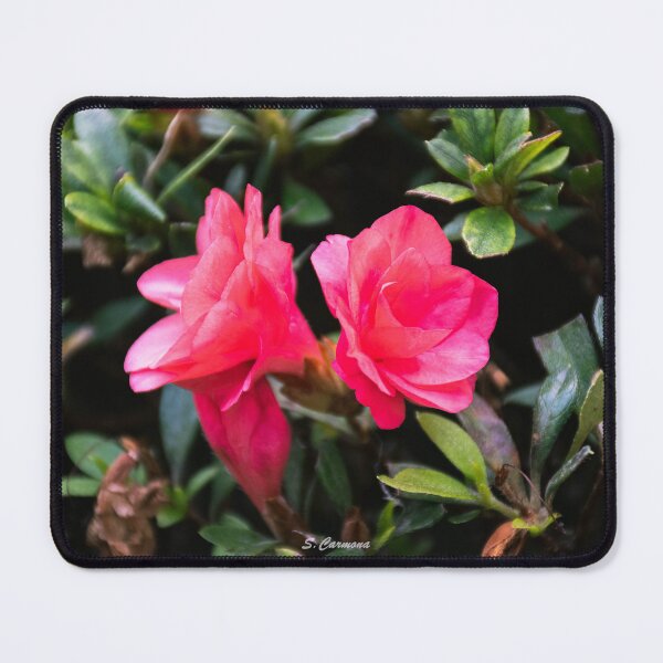 Item preview, Australian Flower - Azalea designed and sold by AuraInkSC.