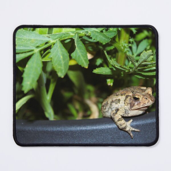 Item preview, The Toad designed and sold by Birds & Beans Photography.