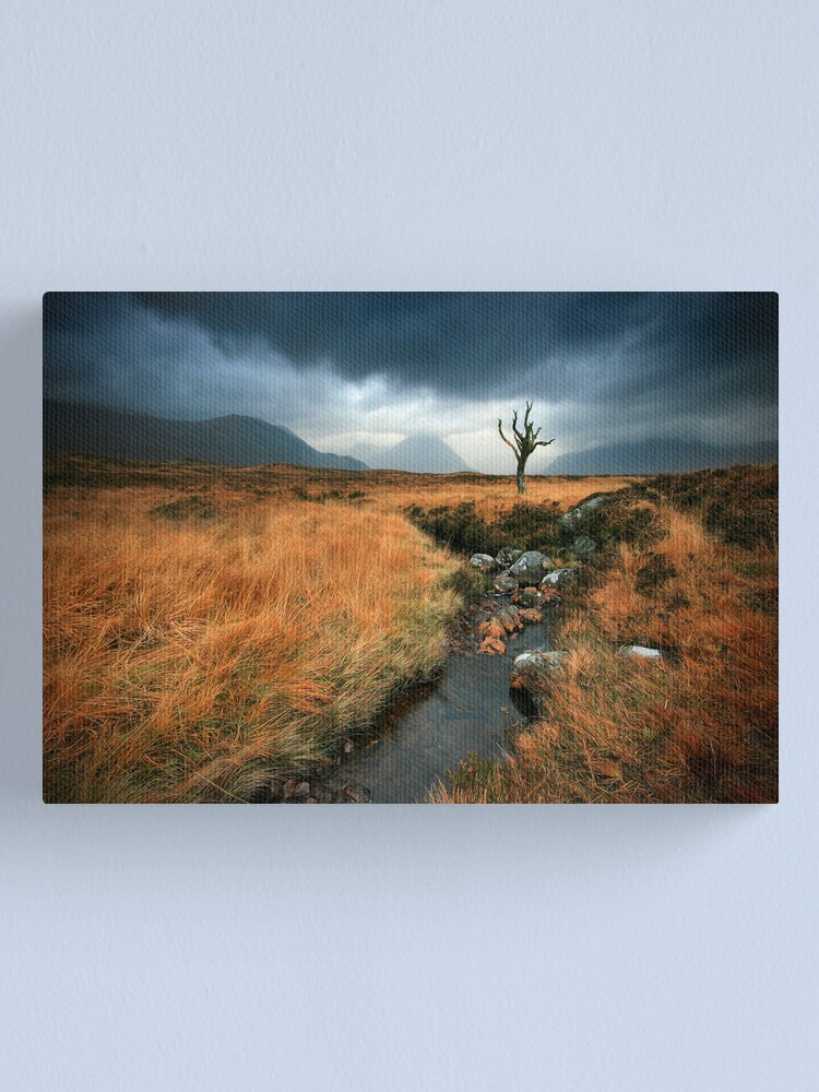 Alternate view of Scotland : Rannoch Moor Canvas Print
