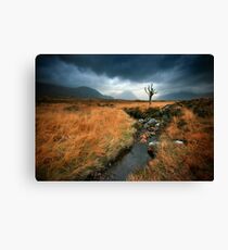 Scotland : Rannoch Moor Canvas Print
