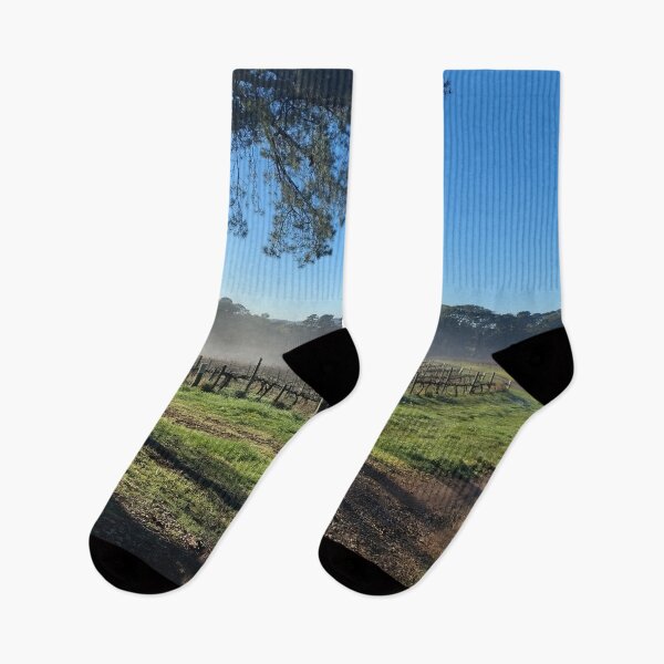 Item preview, Misty Winter Morning Chardonnay Vines at Magpie Springs   designed and sold by MagpieSprings.