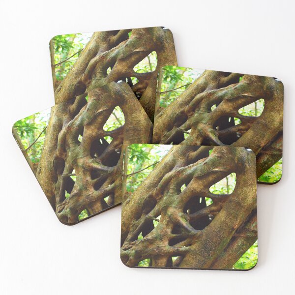 Item preview, Rainforest Ladder designed and sold by Pixsell Image.