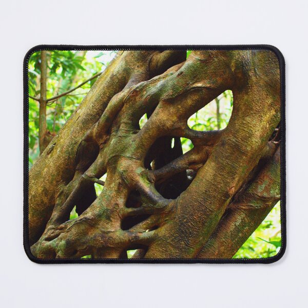Item preview, Rainforest Ladder designed and sold by Pixsell Image.