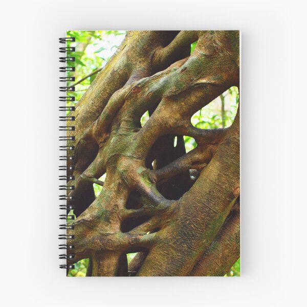 Item preview, Rainforest Ladder designed and sold by Pixsell Image.