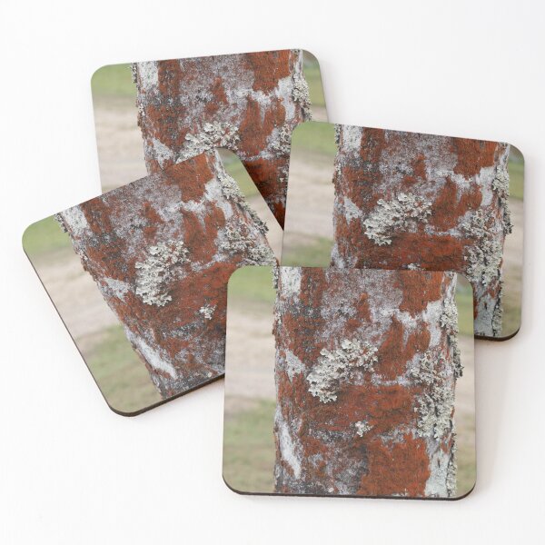 Item preview, Moss 1 designed and sold by Pixsell Image.
