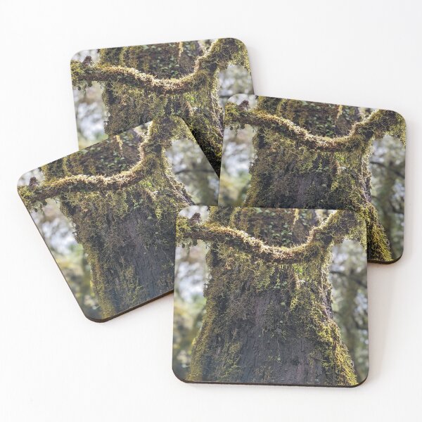 Item preview, Moss 2 designed and sold by Pixsell Image.