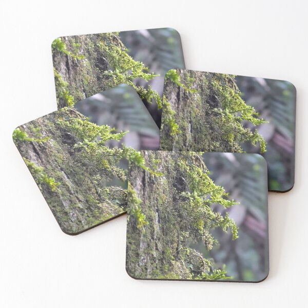 Item preview, Moss 3 designed and sold by Pixsell Image.