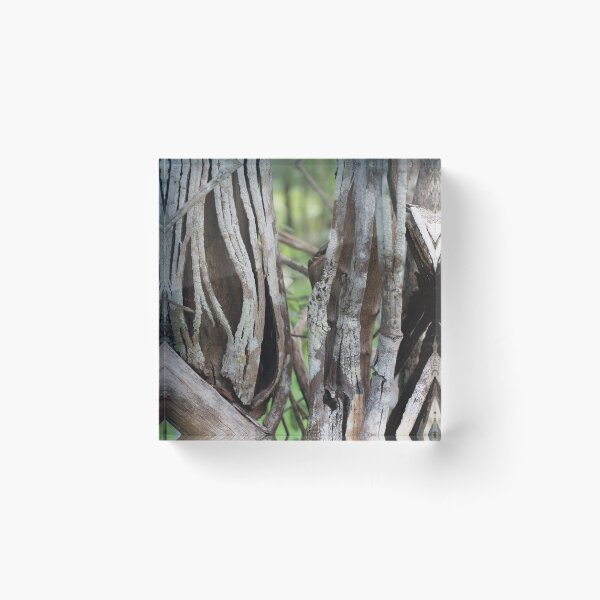 Item preview, Tenacity 1 designed and sold by Pixsell Image.