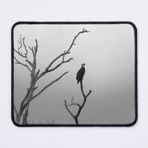 Item preview, Naked Perch designed and sold by Pixsell Image.