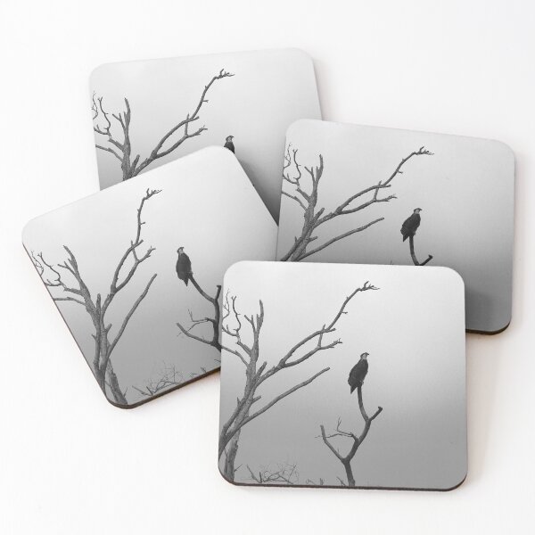 Item preview, Naked Perch designed and sold by Pixsell Image.