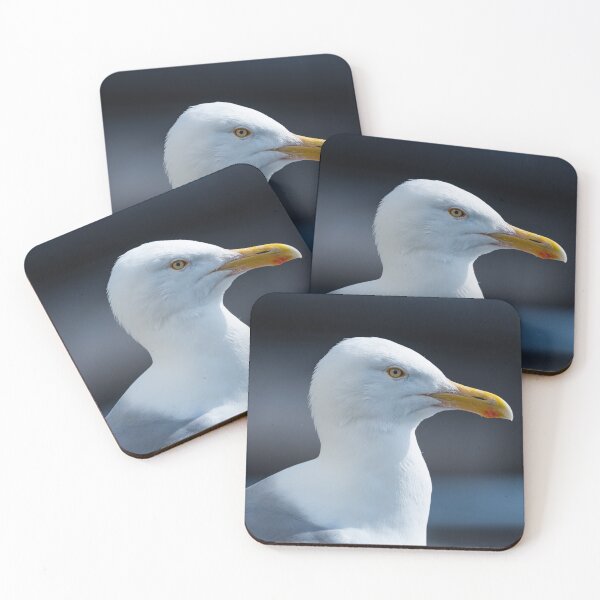 Item preview, Seagull designed and sold by XaviFotografia.