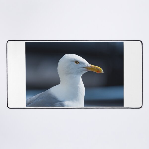 Item preview, Seagull designed and sold by XaviFotografia.