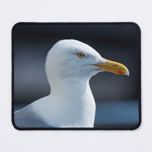Item preview, Seagull designed and sold by XaviFotografia.