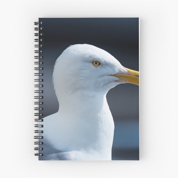 Item preview, Seagull designed and sold by XaviFotografia.