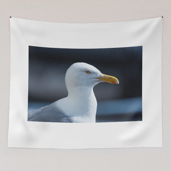 Item preview, Seagull designed and sold by XaviFotografia.