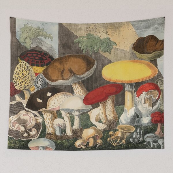 Item preview, Plate 1 designed and sold by The Ravens Ballad.