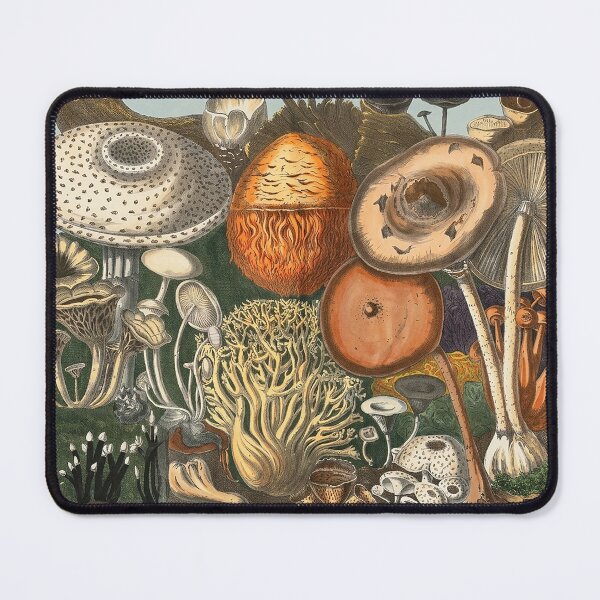 Item preview, Plate 2 designed and sold by The Ravens Ballad.