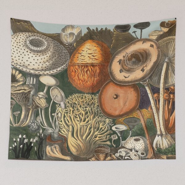 Item preview, Plate 2 designed and sold by The Ravens Ballad.