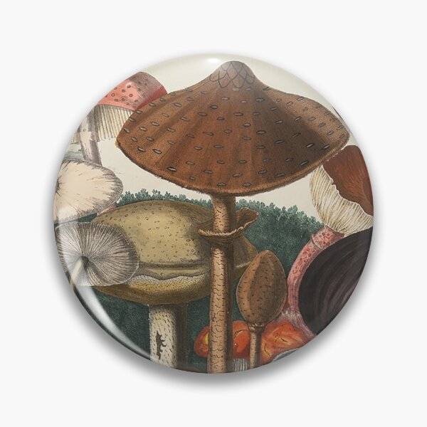 Item preview, Plate 3 designed and sold by The Ravens Ballad.