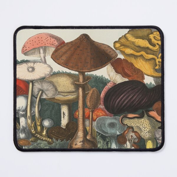 Item preview, Plate 3 designed and sold by The Ravens Ballad.