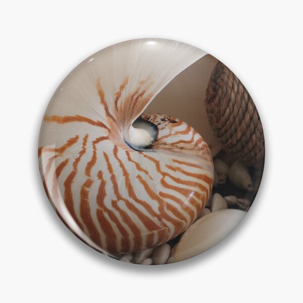 Item preview, Shell Collection designed and sold by Pixsell Image.