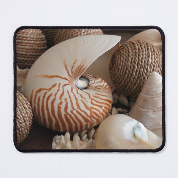 Item preview, Shell Collection designed and sold by Pixsell Image.