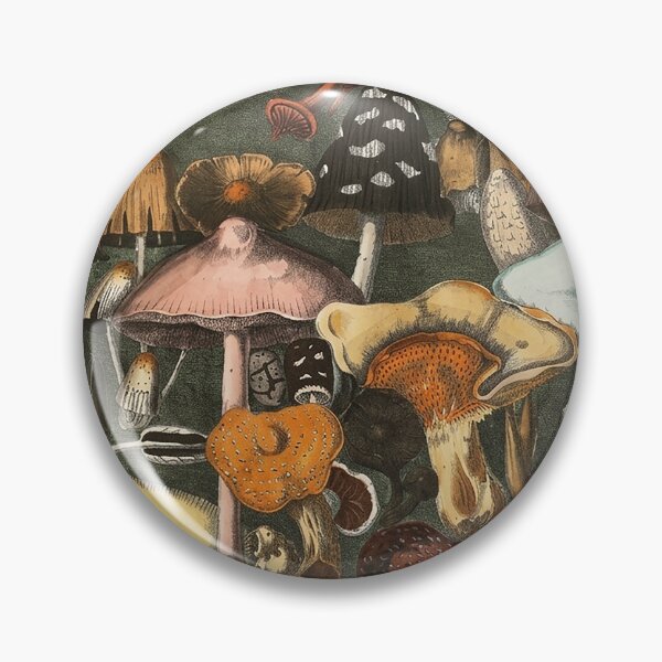 Item preview, Plate 4 designed and sold by The Ravens Ballad.