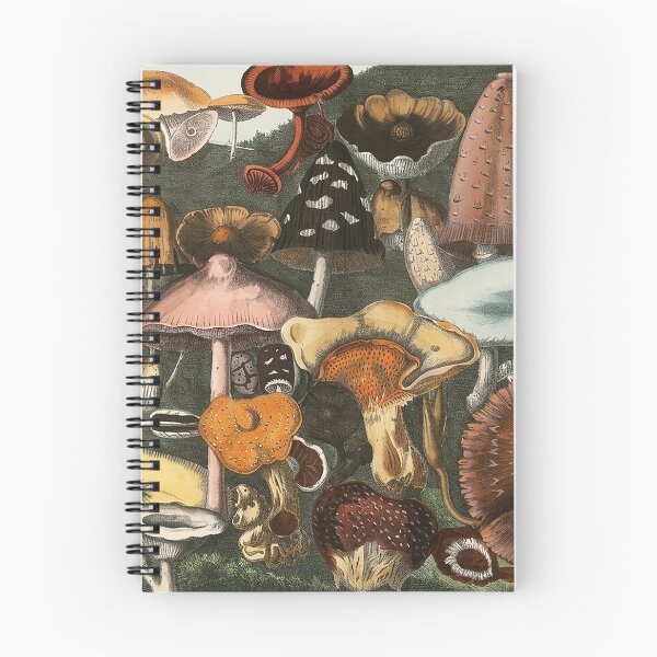 Item preview, Plate 4 designed and sold by The Ravens Ballad.