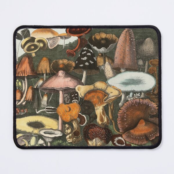 Item preview, Plate 4 designed and sold by The Ravens Ballad.
