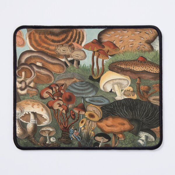 Item preview, Plate 5 designed and sold by The Ravens Ballad.