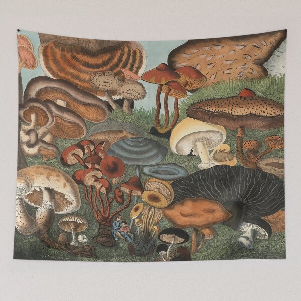 Item preview, Plate 5 designed and sold by The Ravens Ballad.
