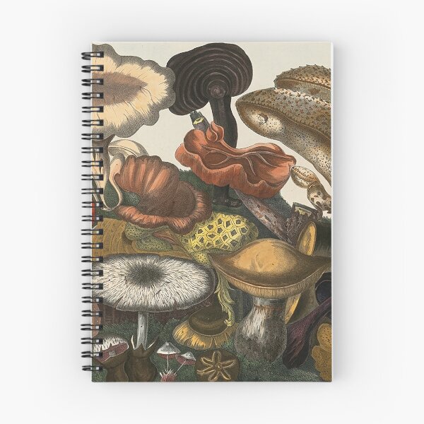 Item preview, Plate 6 designed and sold by The Ravens Ballad.