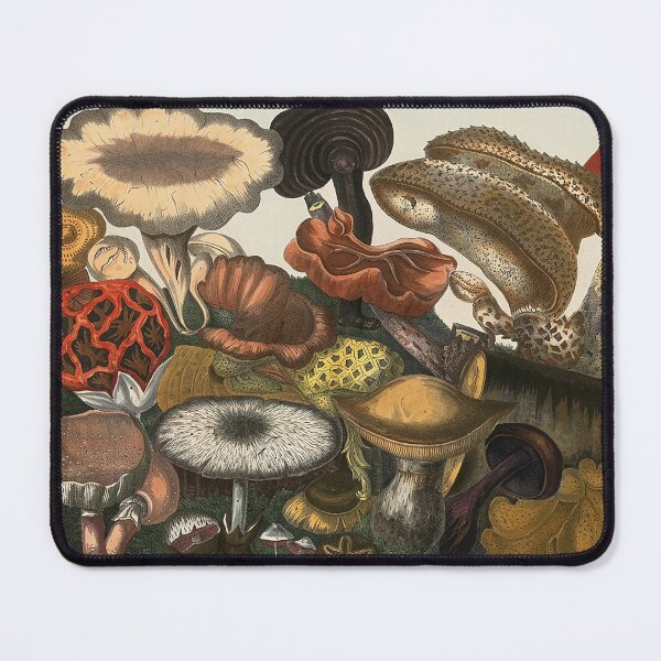 Item preview, Plate 6 designed and sold by The Ravens Ballad.