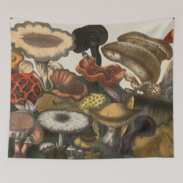 Item preview, Plate 6 designed and sold by The Ravens Ballad.