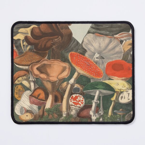 Item preview, Plate 7 designed and sold by The Ravens Ballad.