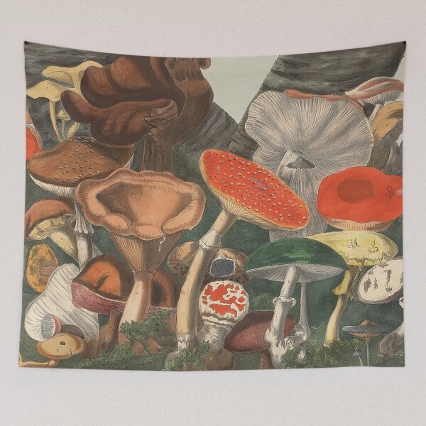 Item preview, Plate 7 designed and sold by The Ravens Ballad.