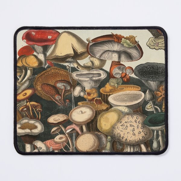 Item preview, Plate 8 designed and sold by The Ravens Ballad.