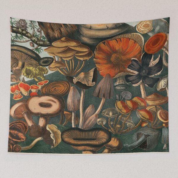 Item preview, Plate 9 designed and sold by The Ravens Ballad.