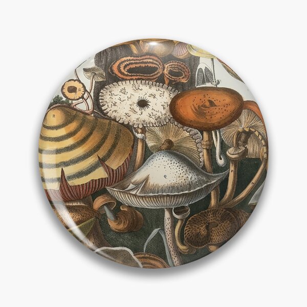 Item preview, Plate 10 designed and sold by The Ravens Ballad.
