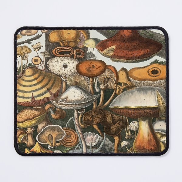 Item preview, Plate 10 designed and sold by The Ravens Ballad.