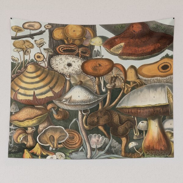 Item preview, Plate 10 designed and sold by The Ravens Ballad.