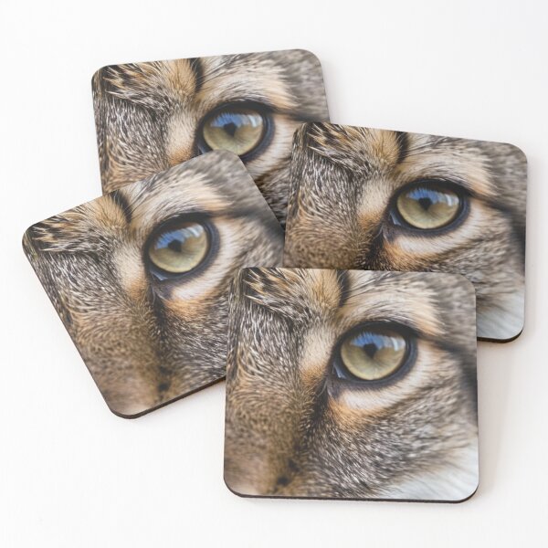 Item preview, Animals - Tabby Cat, Hypnotic Amber Gaze designed and sold by World-Pets.