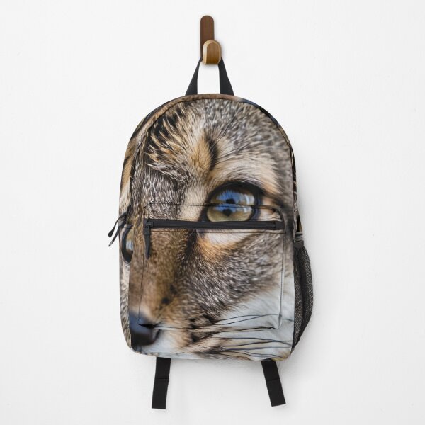 Item preview, Animals - Tabby Cat, Hypnotic Amber Gaze designed and sold by World-Pets.
