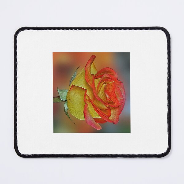 Item preview, Orange Rose Close Up Botanical Portrait designed and sold by ThomenYinmo.
