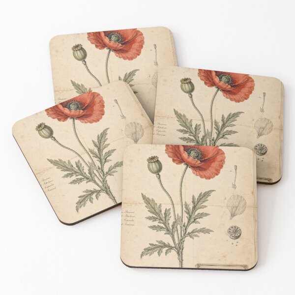 Item preview, Vintage Red Poppy Botanical Study designed and sold by MWprint.