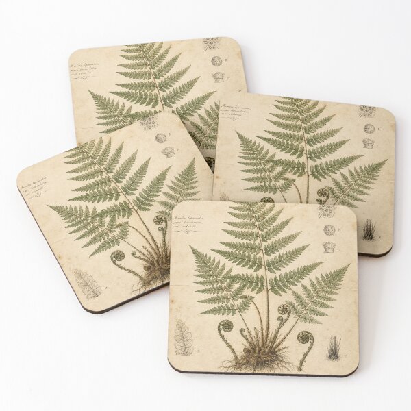 Item preview, Vintage Fern Botanical Study designed and sold by MWprint.